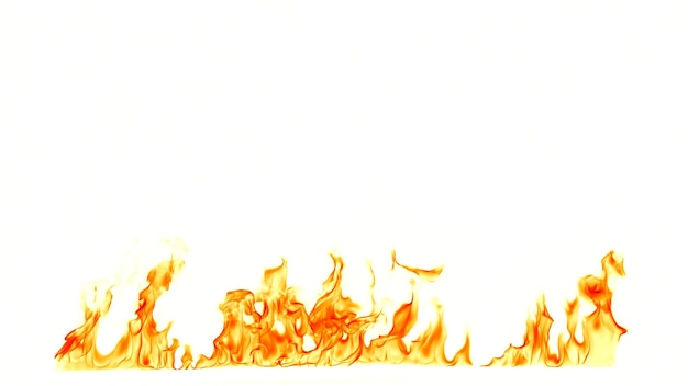 Nahaufnahme von Orange auf weißem Hintergrund
