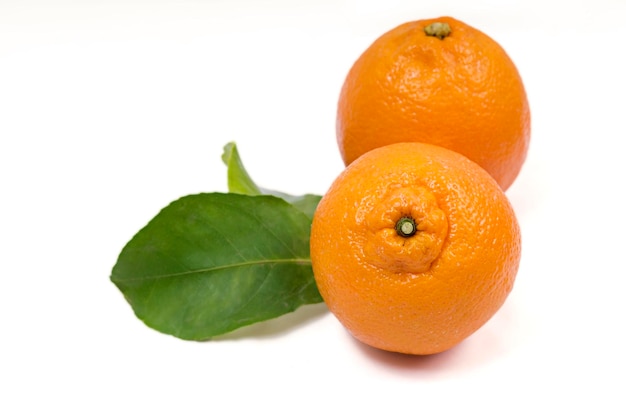 Nahaufnahme von Orangen auf weißem Hintergrund