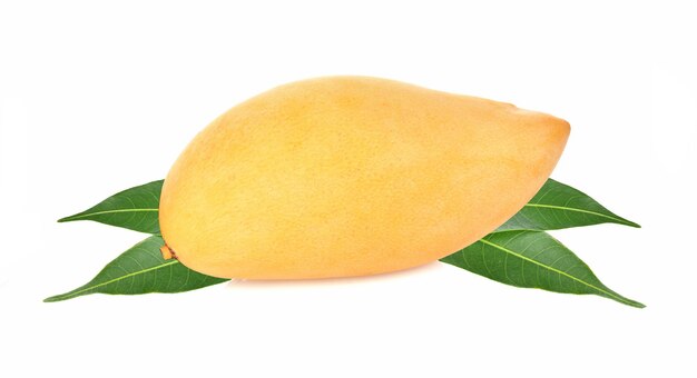Nahaufnahme von Orangenfrüchten vor weißem Hintergrund