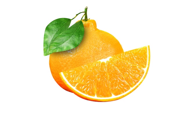 Nahaufnahme von Orangenfrüchten vor weißem Hintergrund