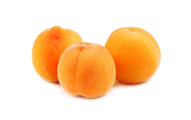 Nahaufnahme von Orangenfrüchten vor weißem Hintergrund