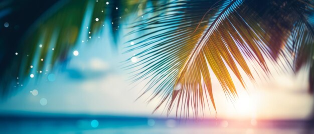 Nahaufnahme von Palmblättern an einem exotischen tropischen Strand mit Sonnenlicht Bokeh Blick auf das Meer und die Küste