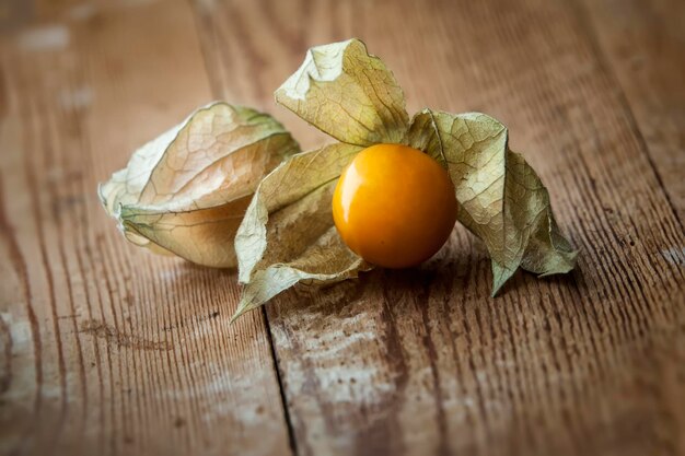 Foto nahaufnahme von physalis