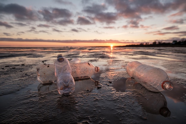 Nahaufnahme von Plastikflaschen, die im Gegenlicht ans Ufer geworfen wurden