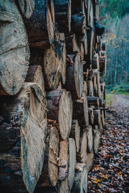 Foto nahaufnahme von protokollen