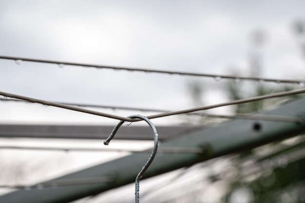 Foto nahaufnahme von regentropfen auf kabel gegen den himmel