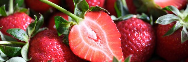 Nahaufnahme von reifen roten Erdbeeren ganz und halbiert Vitamin und saftige Beeren oder frisch