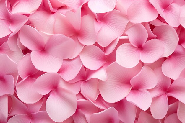 Foto nahaufnahme von rosa blütenblättern mit zarter textur