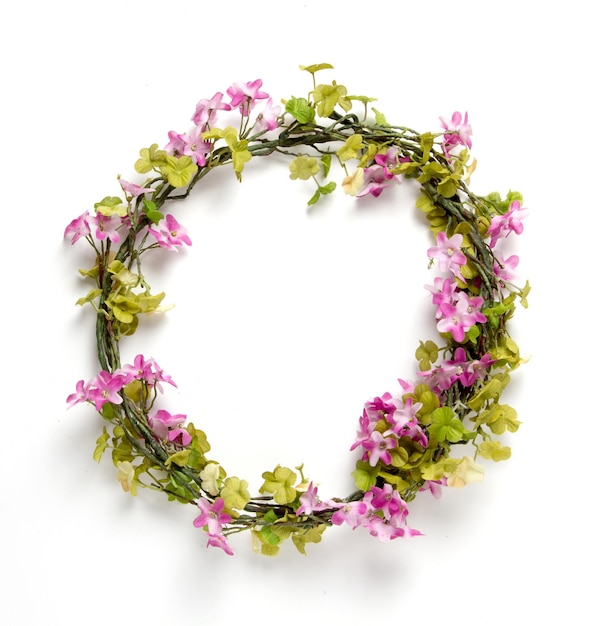 Nahaufnahme von rosa Rosen vor weißem Hintergrund