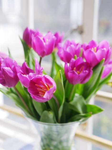 Nahaufnahme von rosa Tulpen in einer Vase auf dem Tisch