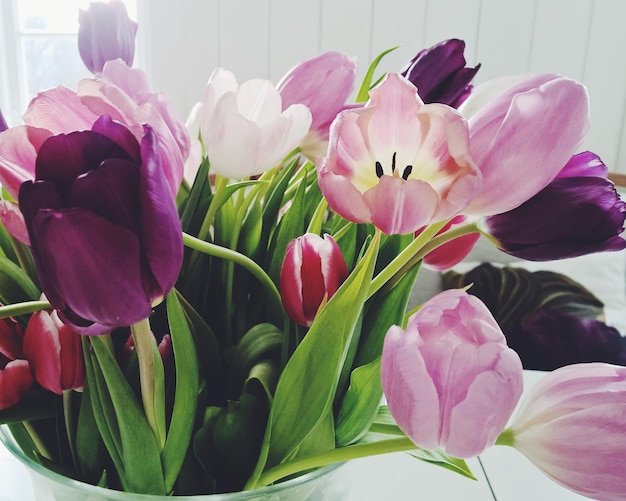 Nahaufnahme von rosa und lila Tulpen.