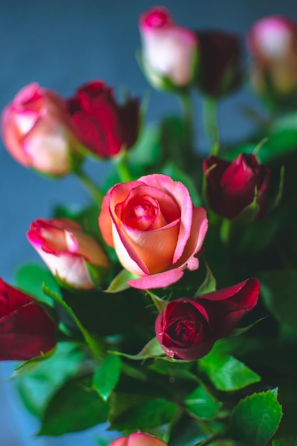 Foto nahaufnahme von rosa und roten rosen