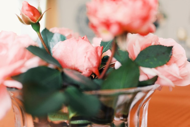 Nahaufnahme von Rosen in einer Vase