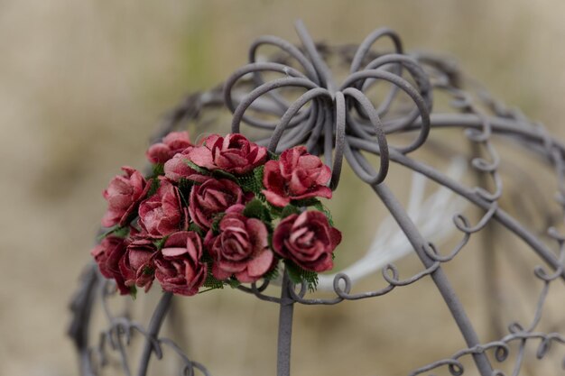 Foto nahaufnahme von rosen vor verschwommenem hintergrund