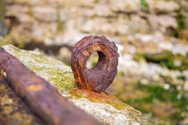 Nahaufnahme von rostigem Metall auf Moos