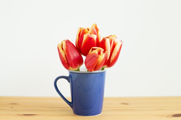 Foto nahaufnahme von roten früchten auf tisch vor weißem hintergrund