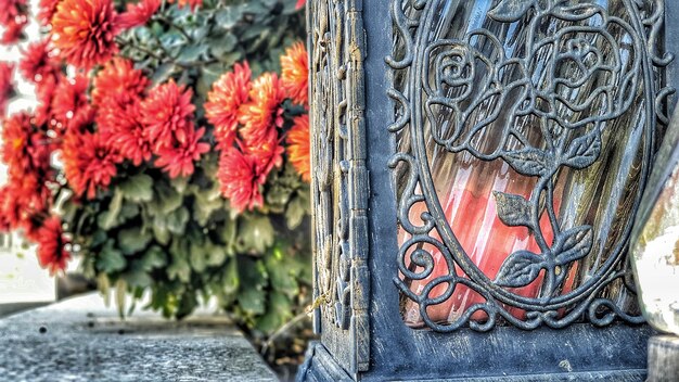 Foto nahaufnahme von roten rosen an der tür des gebäudes