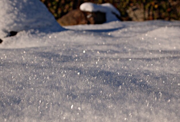 Foto nahaufnahme von schnee auf dem feld