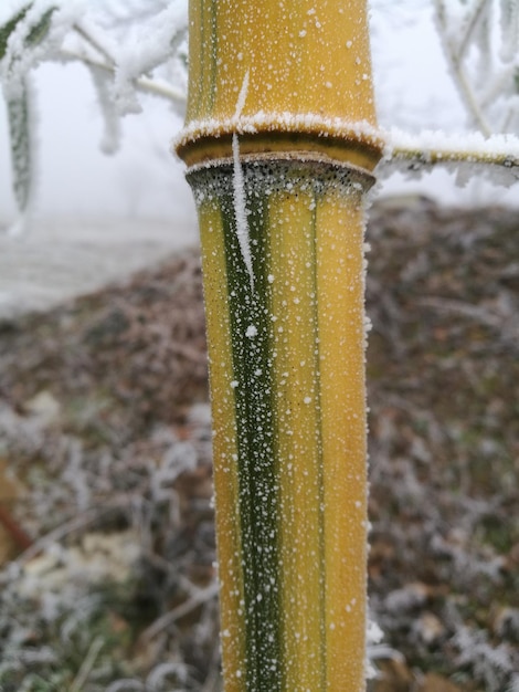 Nahaufnahme von Schnee auf Wasser