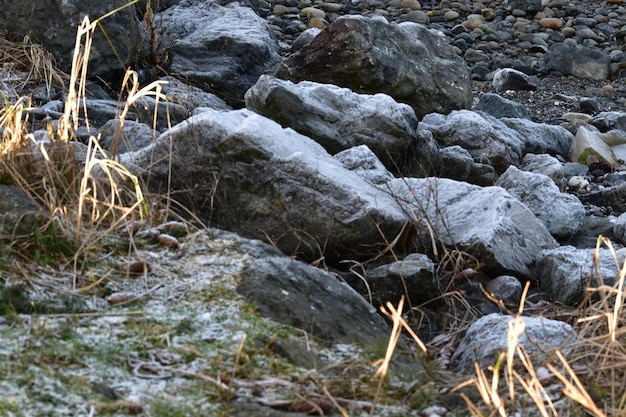 Nahaufnahme von Schnee