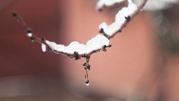 Foto nahaufnahme von schnee