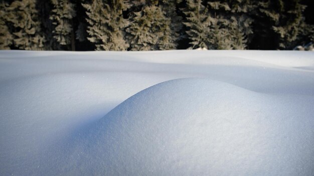 Foto nahaufnahme von schneebedecktem land