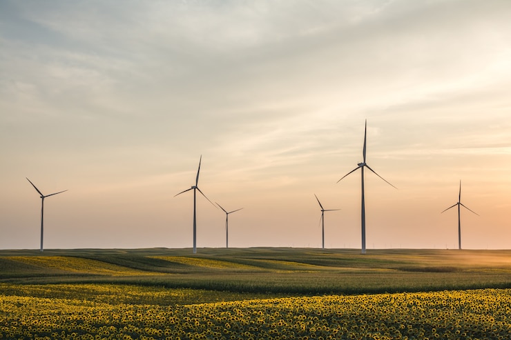 Foto nahaufnahme von schönen sonnenblumen und windkraftanlagen in einem feld