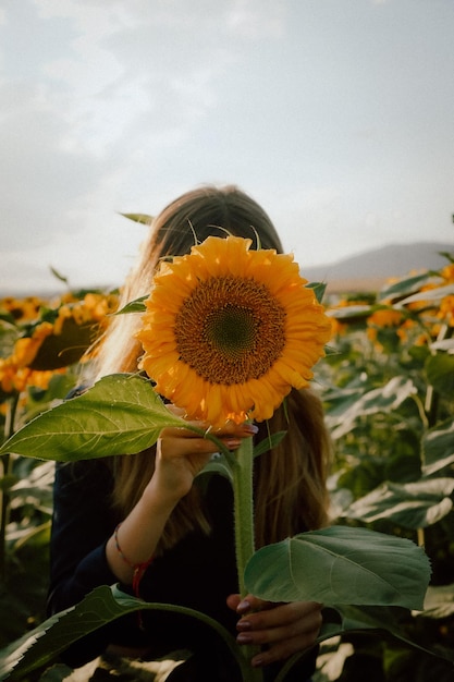 Nahaufnahme von Sonnenblumen auf dem Feld gegen den Himmel