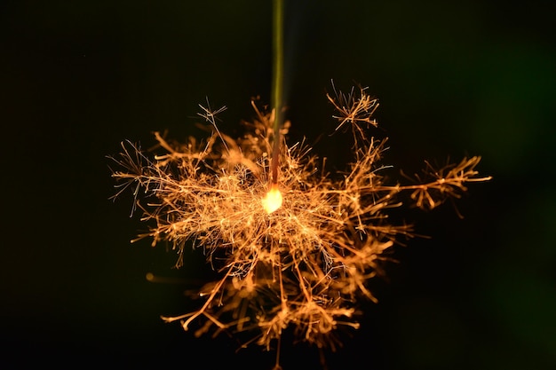 Nahaufnahme von Sparkler