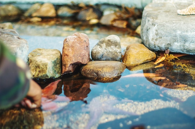 Foto nahaufnahme von steinen im wasser