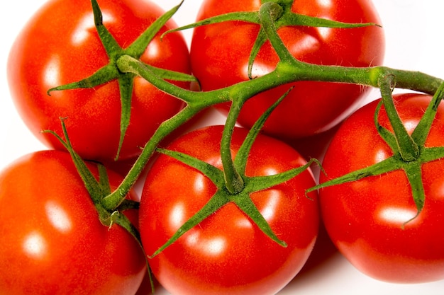 Nahaufnahme von Tomaten
