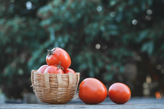 Nahaufnahme von Tomaten