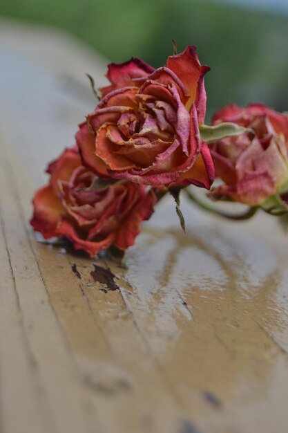 Foto nahaufnahme von trockenen rosen auf dem tisch