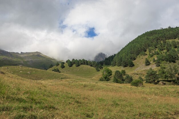 Nahaufnahme von Wald- und Bergszenen im Nationalpark Dombai, Kaukasus, Russland, Europa. Sommerlandschaft, Sonnenscheinwetter, dramatischer blauer Himmel und sonniger Tag