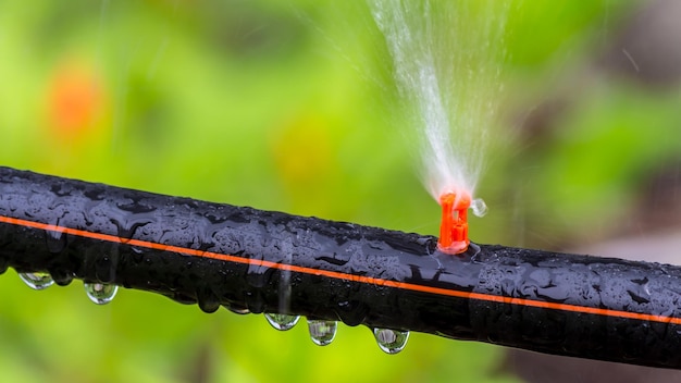 Nahaufnahme von Wassertropfen auf einem Metallrohr