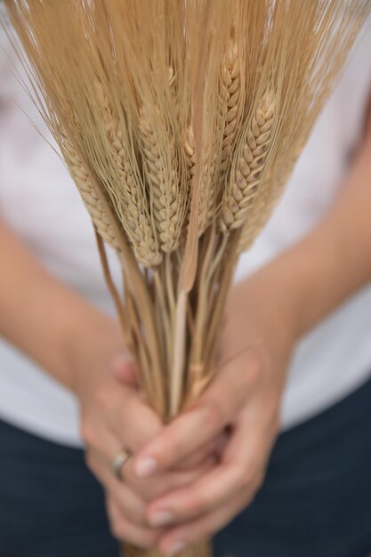 Foto nahaufnahme von weizen in der hand