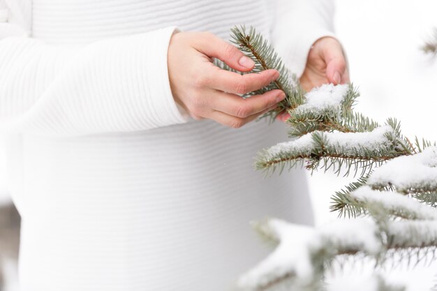 Nahaufnahme von Womans Händen halten Weihnachtsbaum mit Schnee an einem sonnigen Wintertag