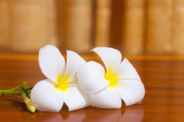 Foto nahaufnahme weißer blumen auf dem tisch