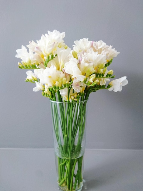 Foto nahaufnahme weißer blumen in einer vase
