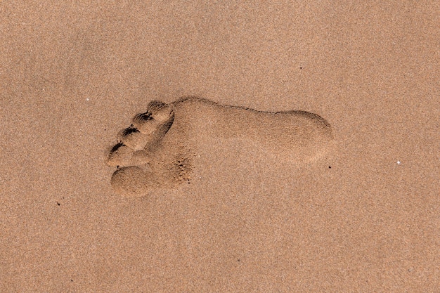 Nahaufnahmeabdrücke am tropischen Sandstrand.