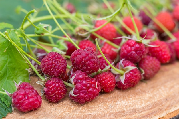 Nahaufnahmeansicht der frischen und süßen roten Himbeerfrucht