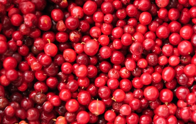 Nahaufnahmebeschaffenheit von Preiselbeerbeeren Natürlicher Hintergrund