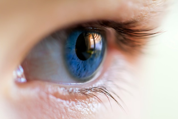 Nahaufnahmebild des blauen menschlichen Auges mit Wimpern