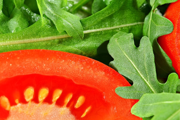 Nahaufnahmedetail auf hellroter Tomatenscheibe und nassem grünem Rucola-Raketenblattsalat.