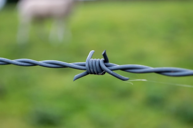 Foto nahaufnahmedetail des stacheldrahtzauns