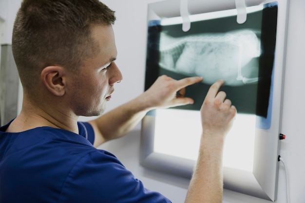 Foto nahaufnahmedoktor, der tierradiographie überprüft