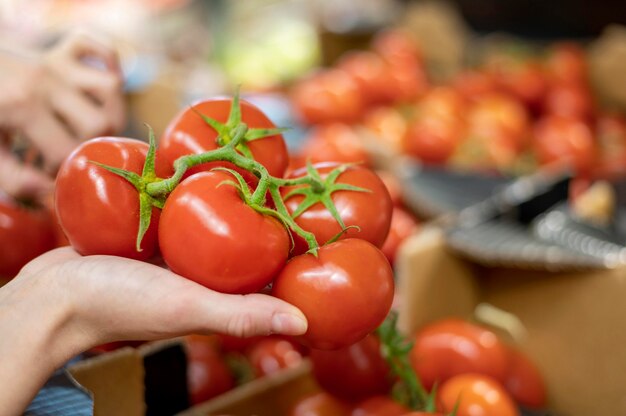 Nahaufnahmefrau, die Tomaten hält