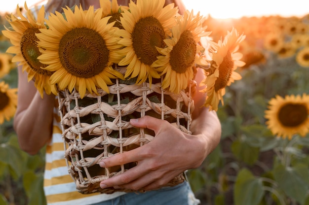 Foto nahaufnahmehände, die sonnenblumenkorb halten