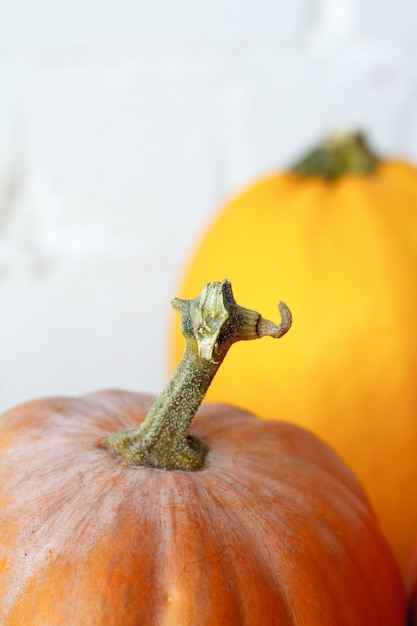 Nahaufnahmeherbstkürbise auf Danksagungstabelle