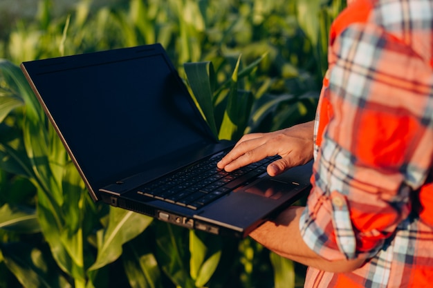 Nahaufnahmelaptopschirm in männliche Hände. Agronomie, die auf einem Gebiet hält offenes Notizbuch steht